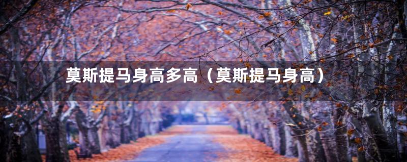 莫斯提马身高多高(莫斯提马身高)