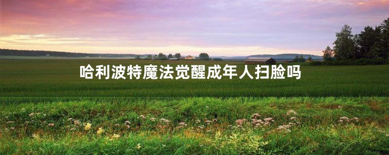 哈利波特魔法觉醒成年人扫脸吗