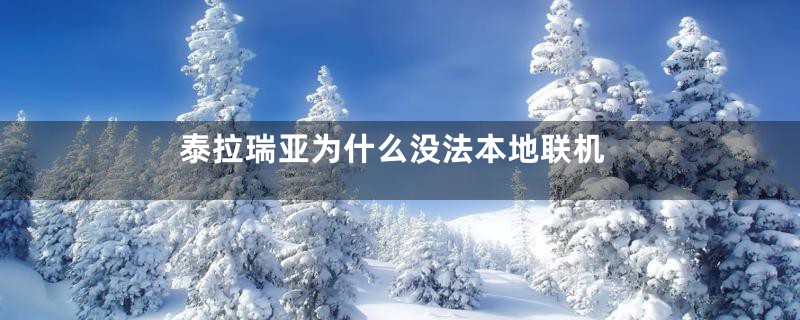 泰拉瑞亚为什么没法本地联机