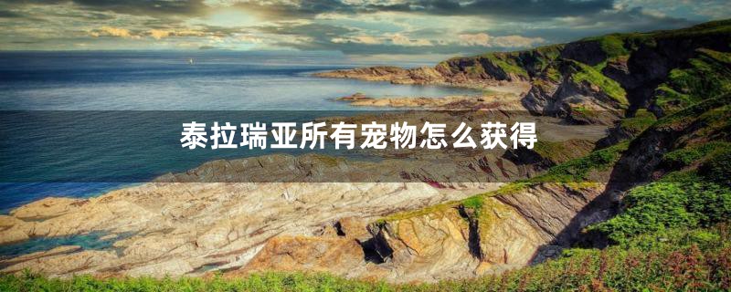 泰拉瑞亚所有宠物怎么获得