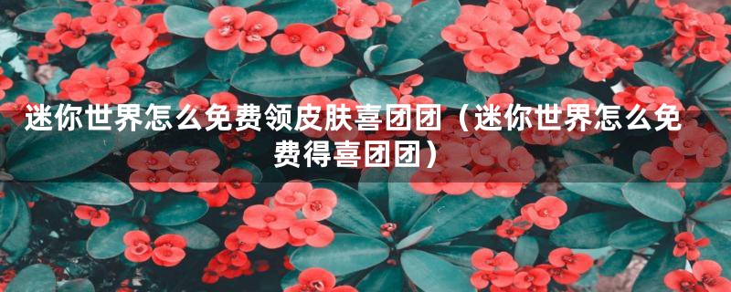 迷你世界怎么免费领皮肤喜团团（迷你世界怎么免费得喜团团）