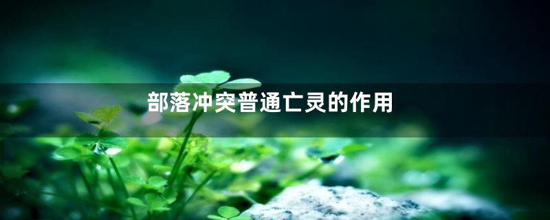 部落冲突普通亡灵的作用