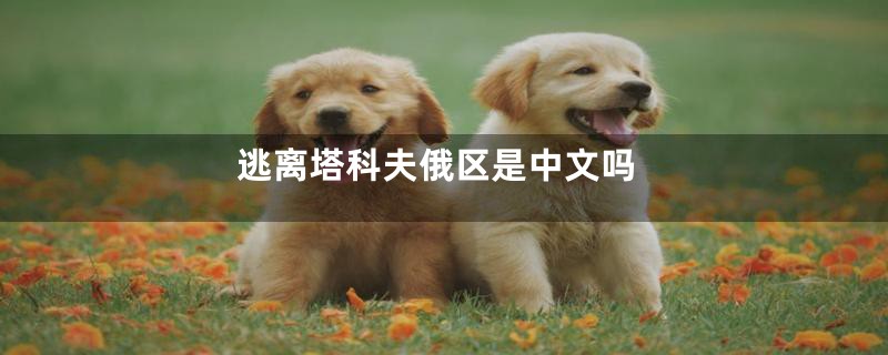 逃离塔科夫俄区是中文吗