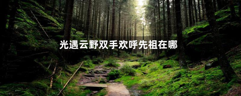 光遇云野双手欢呼先祖在哪