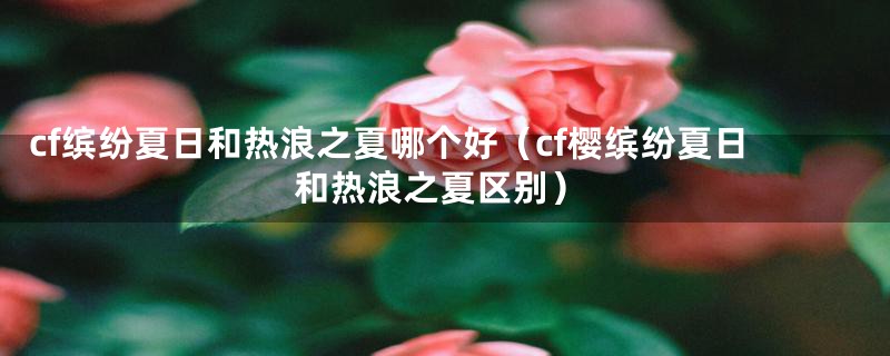 cf缤纷夏日和热浪之夏哪个好(cf樱缤纷夏日和热浪之夏区别)