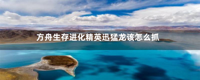 方舟生存进化精英迅猛龙该怎么抓