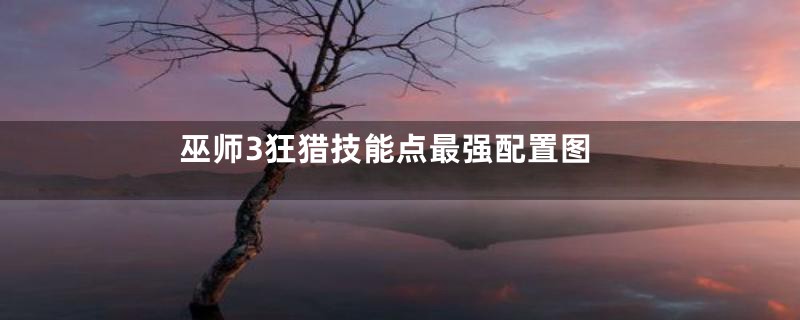 巫师3狂猎技能点最强配置图