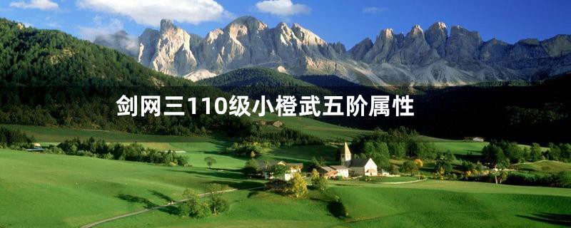 剑网三110级小橙武五阶属性