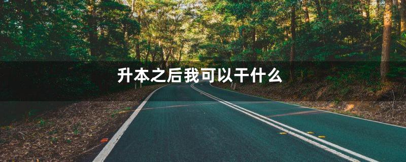 升本之后我可以干什么