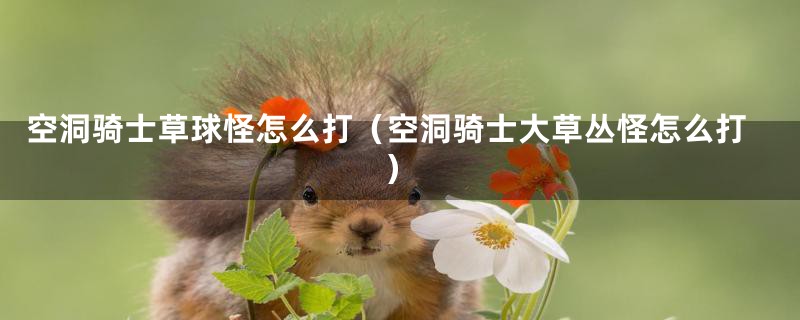 空洞骑士草球怪怎么打(空洞骑士大草丛怪怎么打)