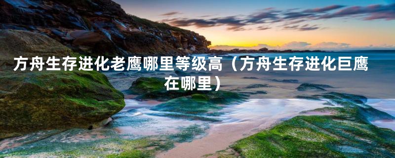 方舟生存进化老鹰哪里等级高（方舟生存进化巨鹰在哪里）