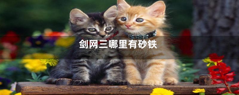 剑网三哪里有砂铁