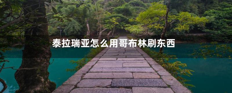 泰拉瑞亚怎么用哥布林刷东西