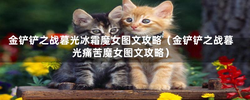 金铲铲之战暮光冰霜魔女图文攻略（金铲铲之战暮光痛苦魔女图文攻略）