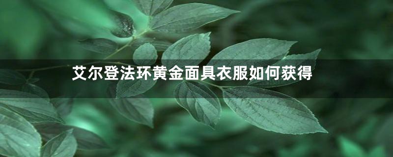 艾尔登法环黄金面具衣服如何获得