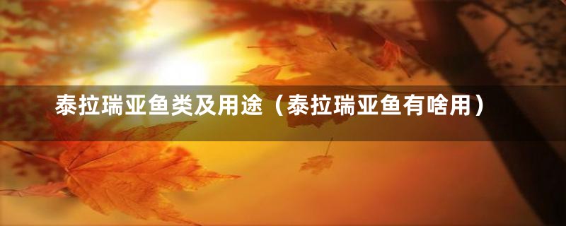 泰拉瑞亚鱼类及用途(泰拉瑞亚鱼有啥用)