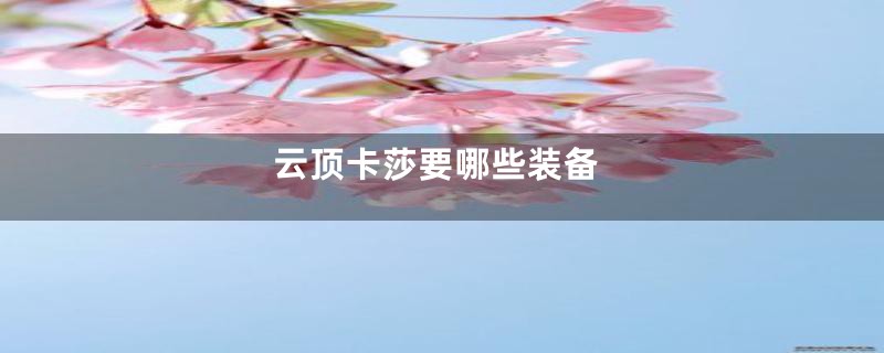 云顶卡莎要哪些装备