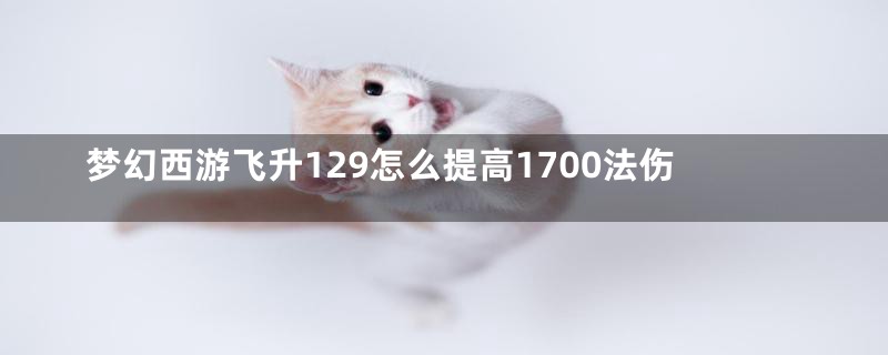 梦幻西游飞升129怎么提高1700法伤