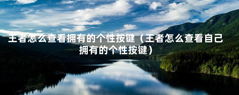 王者怎么查看拥有的个性按键(王者怎么查看自己拥有的个性按键)