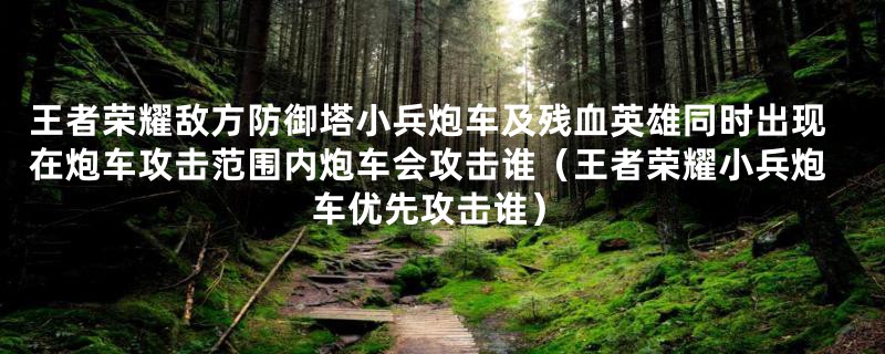 王者荣耀敌方防御塔小兵炮车及残血英雄同时出现在炮车攻击范围内炮车会攻击谁（王者荣耀小兵炮车优先攻击谁）