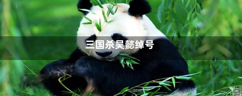 三国杀吴懿绰号