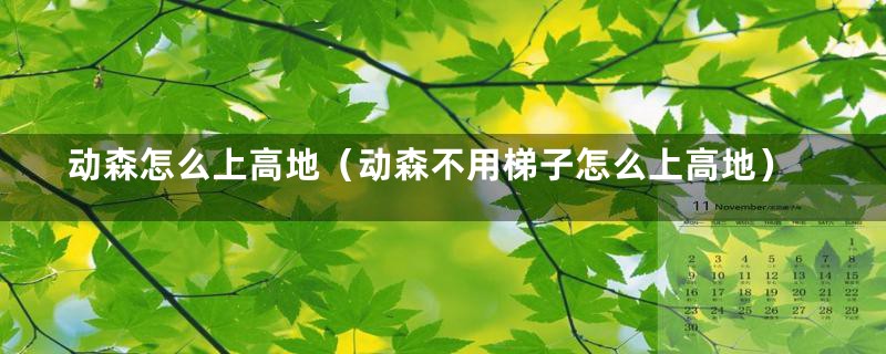动森怎么上高地(动森不用梯子怎么上高地)