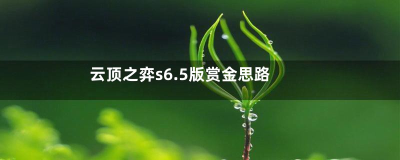 云顶之弈s6.5版赏金思路
