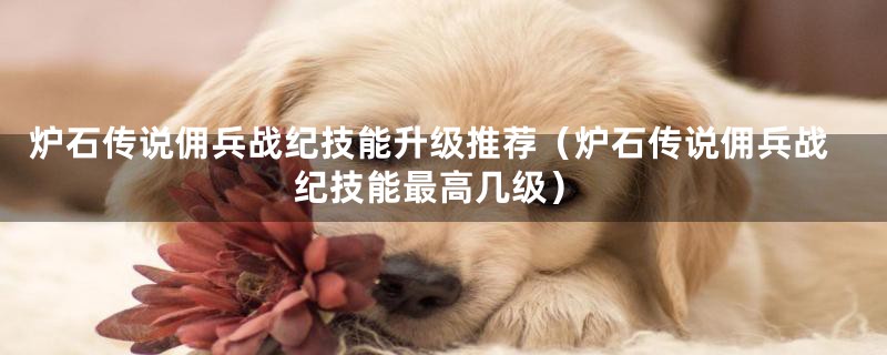 炉石传说佣兵战纪技能升级推荐（炉石传说佣兵战纪技能最高几级）