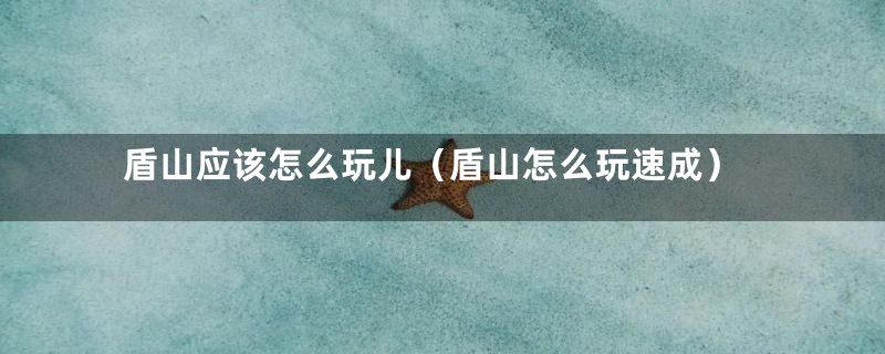 盾山应该怎么玩儿(盾山怎么玩速成)