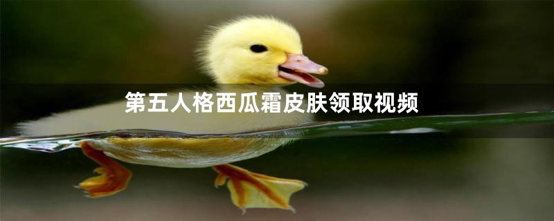 第五人格西瓜霜皮肤领取视频