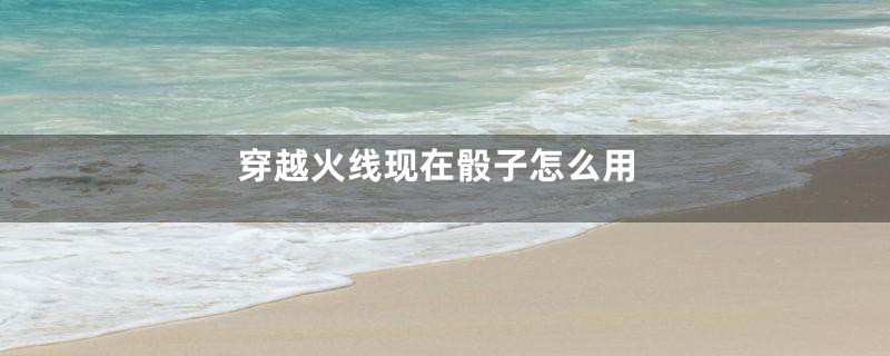 穿越火线现在骰子怎么用