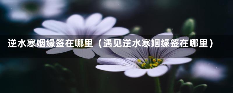 逆水寒姻缘签在哪里(遇见逆水寒姻缘签在哪里)