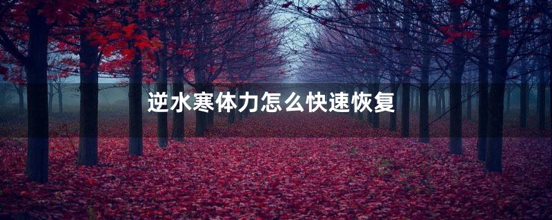 逆水寒体力怎么快速恢复