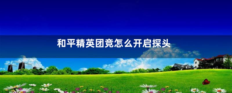 和平精英团竞怎么开启探头