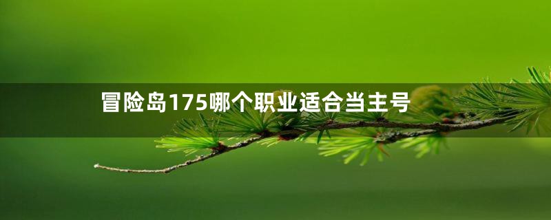 冒险岛175哪个职业适合当主号