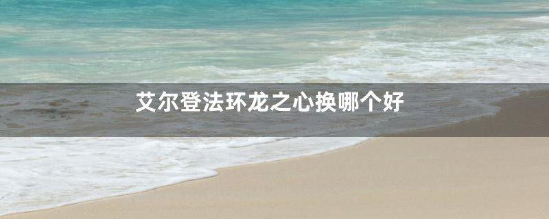 艾尔登法环龙之心换哪个好
