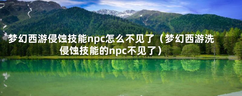 梦幻西游侵蚀技能npc怎么不见了（梦幻西游洗侵蚀技能的npc不见了）