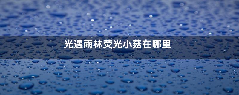 光遇雨林荧光小菇在哪里