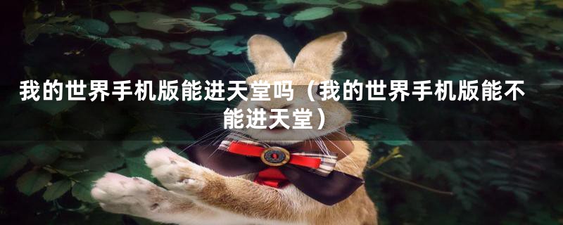 我的世界手机版能进天堂吗(我的世界手机版能不能进天堂)
