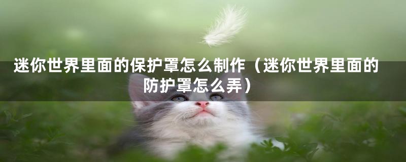 迷你世界里面的保护罩怎么制作（迷你世界里面的防护罩怎么弄）