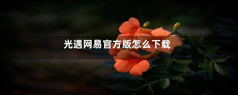 光遇网易官方版怎么下载