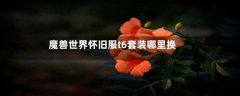 魔兽世界怀旧服t6套装哪里换