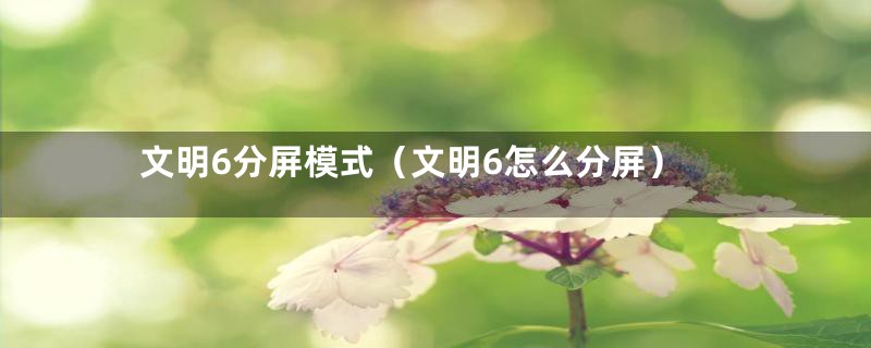 文明6分屏模式(文明6怎么分屏)