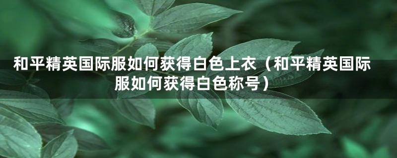 和平精英国际服如何获得白色上衣(和平精英国际服如何获得白色称号)