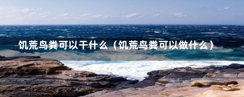饥荒鸟粪可以干什么（饥荒鸟粪可以做什么）