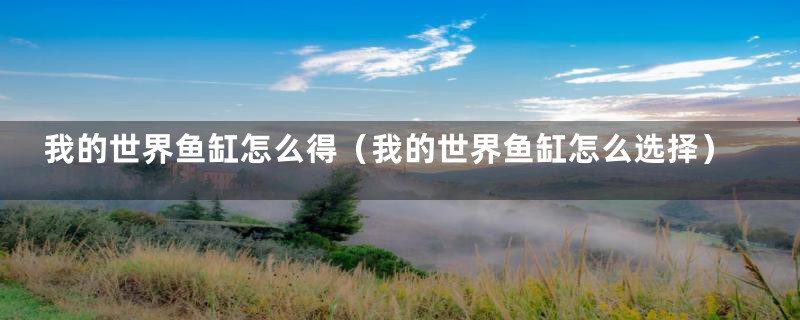 我的世界鱼缸怎么得(我的世界鱼缸怎么选择)