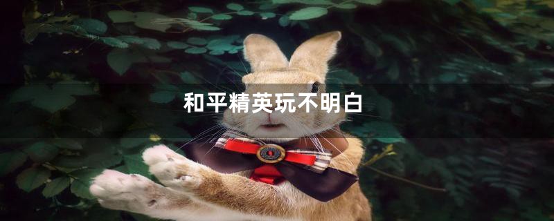 和平精英玩不明白