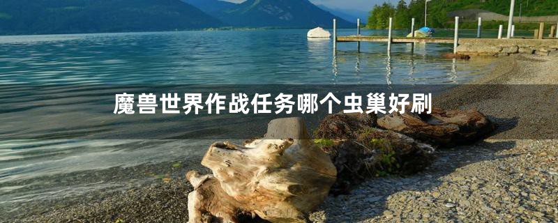 魔兽世界作战任务哪个虫巢好刷
