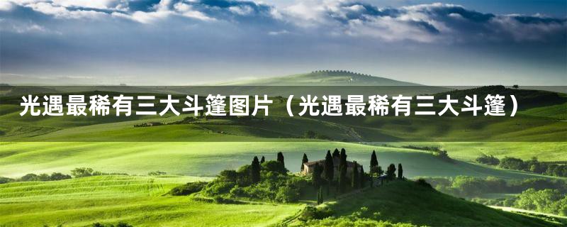 光遇最稀有三大斗篷图片（光遇最稀有三大斗篷）
