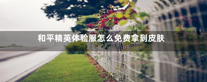 和平精英体验服怎么免费拿到皮肤